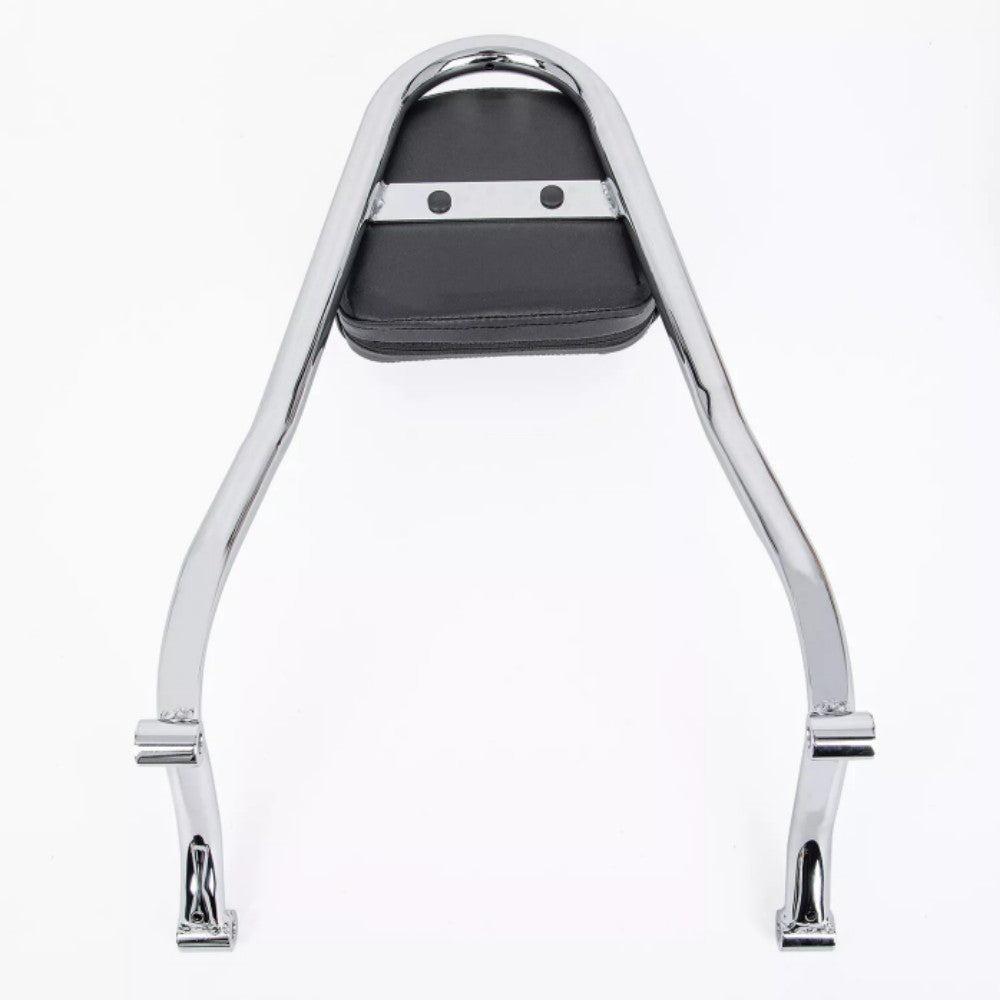 Chrome Rear Passenger Backrest Sissy Bar Fit for BMW R18/R18 Classic 2020-later