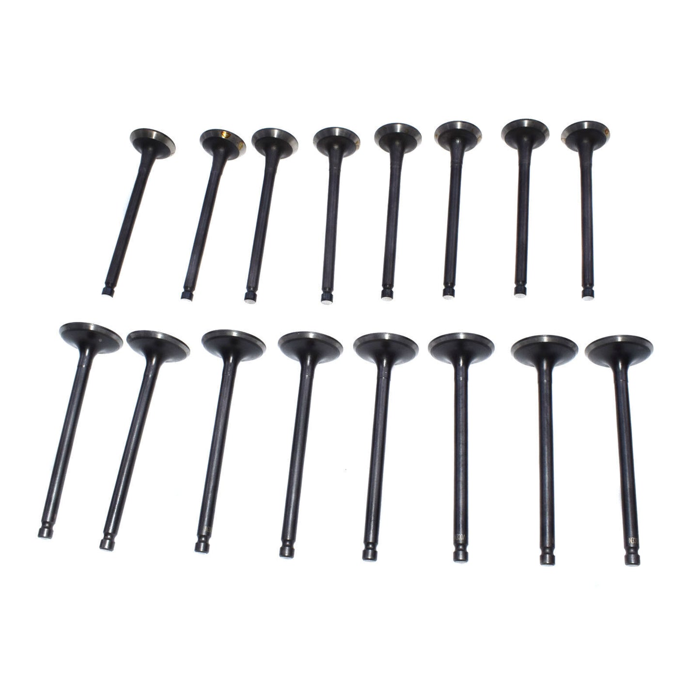 16 PCS Fit for Hyundai Accent for Kia Rio Rio5 1.6L Intake Exhaust Valve Kit New