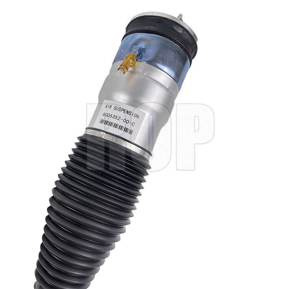 Rear Left or Right Air Shock Strut Fit for Tesla for Model S S2 S3 2011-2015 600635200C