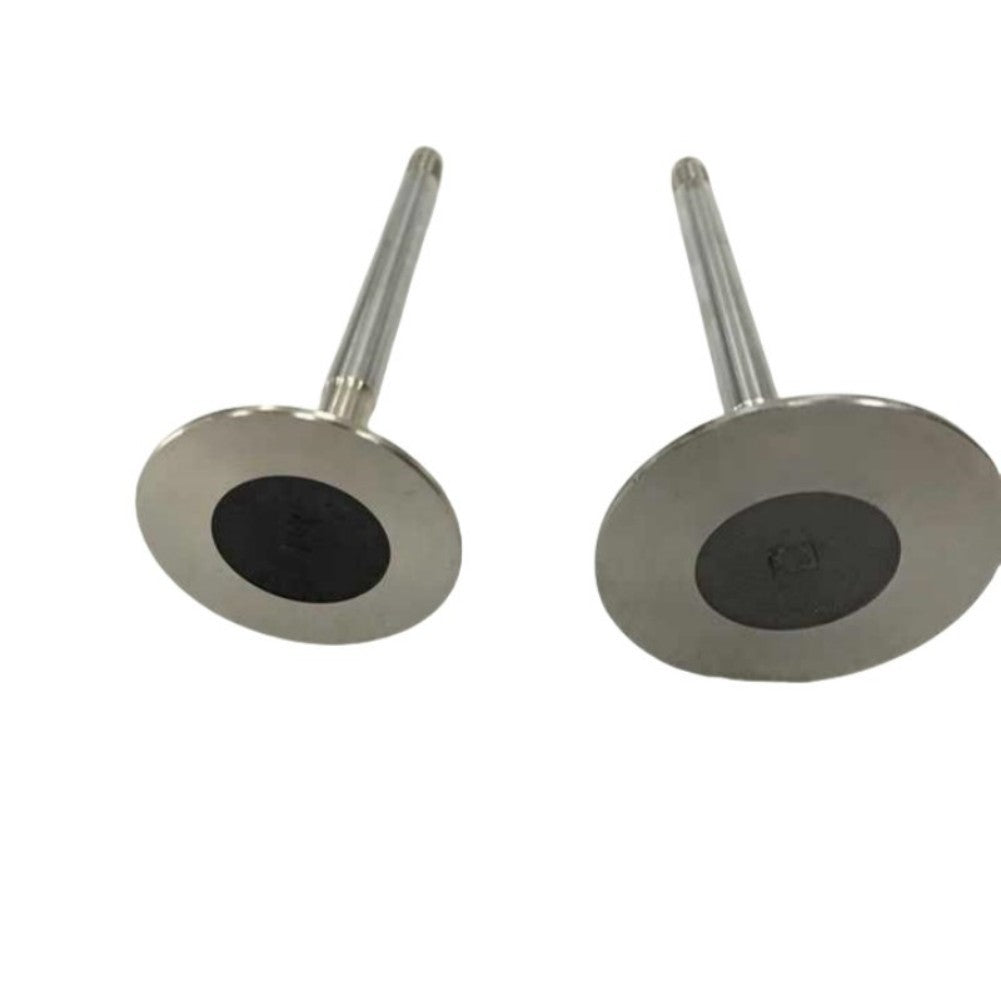 Parts NO# 92089889 Air Intake Valve (Pack of 4) 1pack Q