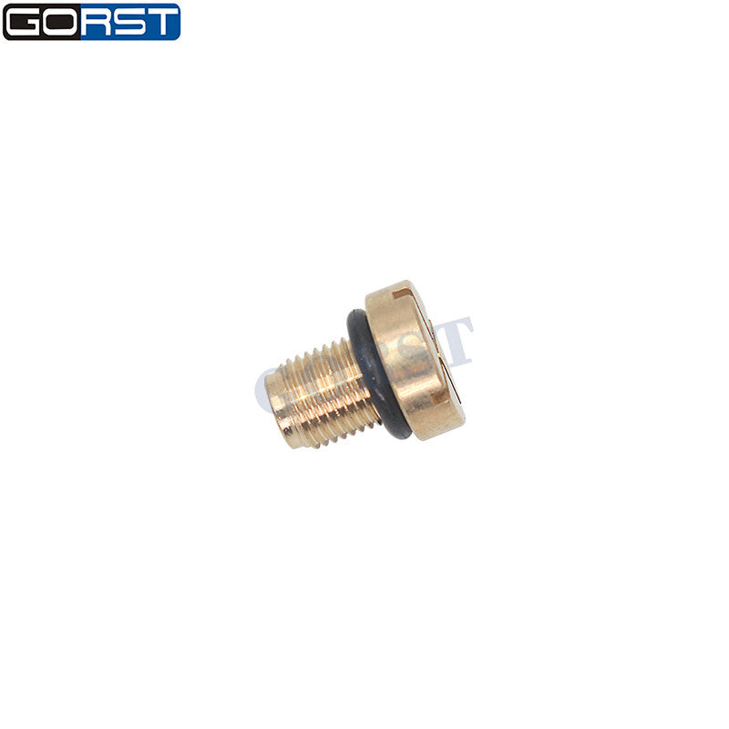 Radiator Overflow Coolant Expansion Tank Bleed Screw Brass 17111712788 for v