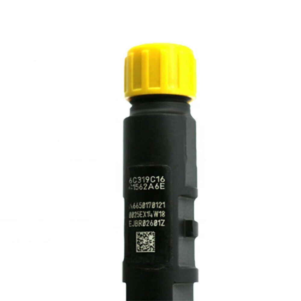EJBR02601Z Fuel Injector for Delphi for SSANGYONG Rexton 2.7L Xdi Diesel A6650170121