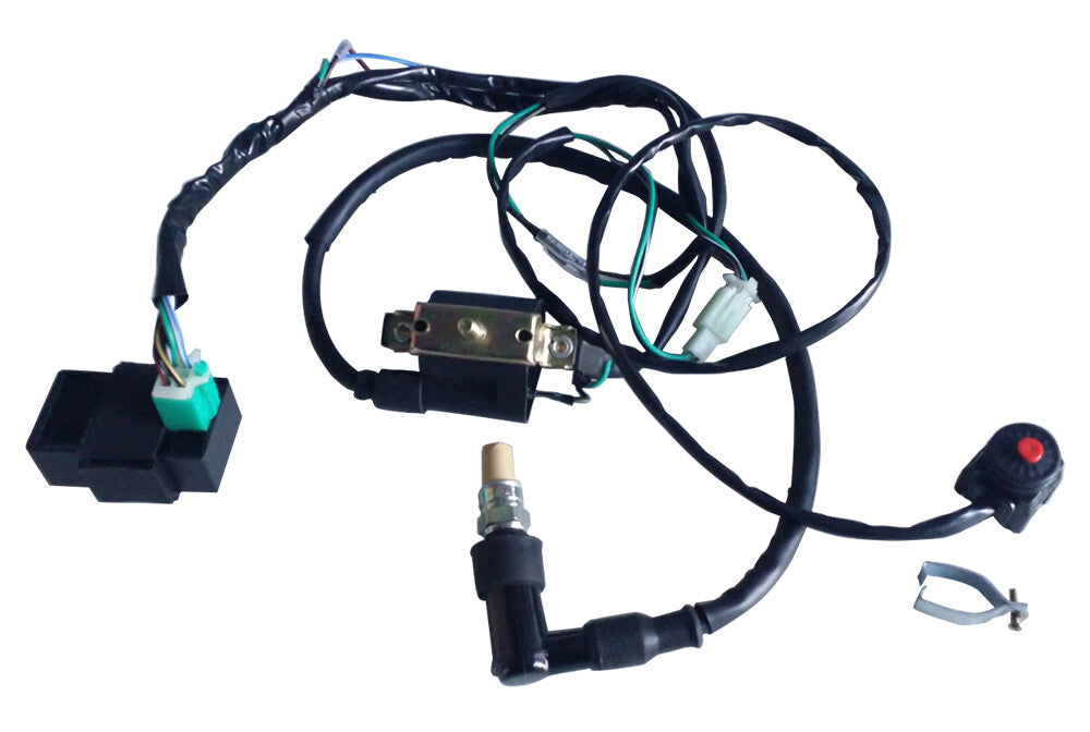 Magneto stator-flywheel harness kit for Lifan 110cc/125cc CRF70 Dirt bicycles