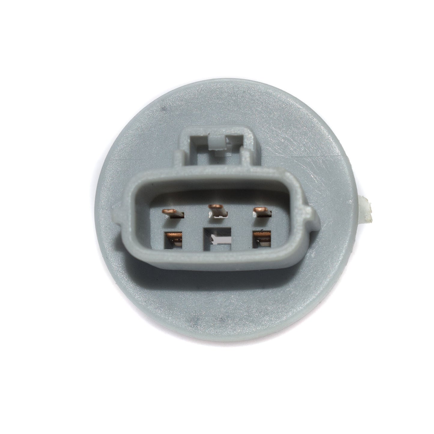 Front turn signal bulb socket and wiring harness for Tundra Sequoia - v