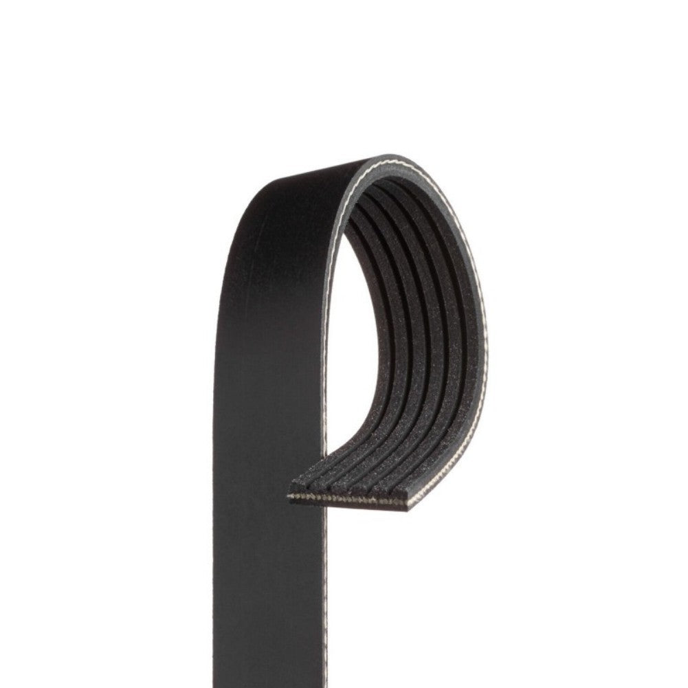 Serpentine Belt for Cadillac CTS 04-05 Q