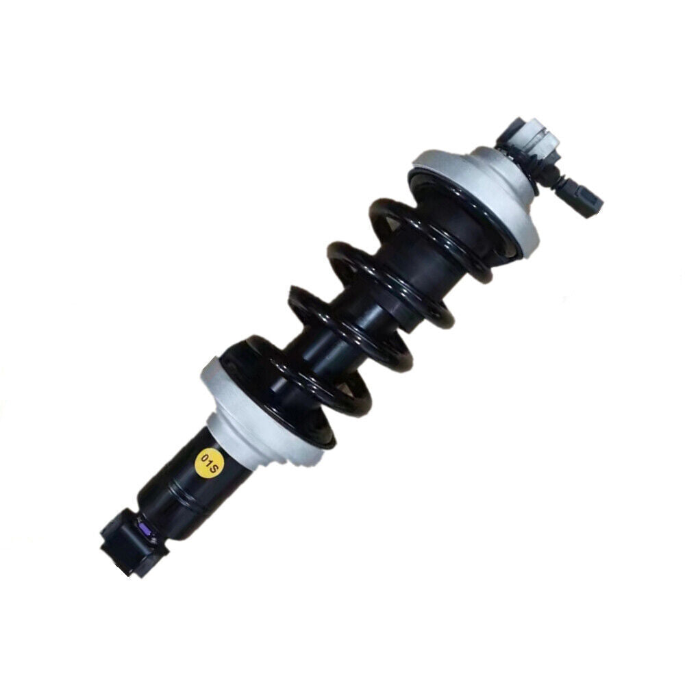 Rear Left or Right Shock Strut Assembly Fit for Lamborghini for Huracan for Audi R8 2015-21