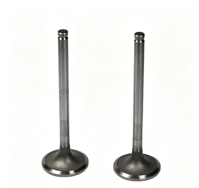 Engine Valves