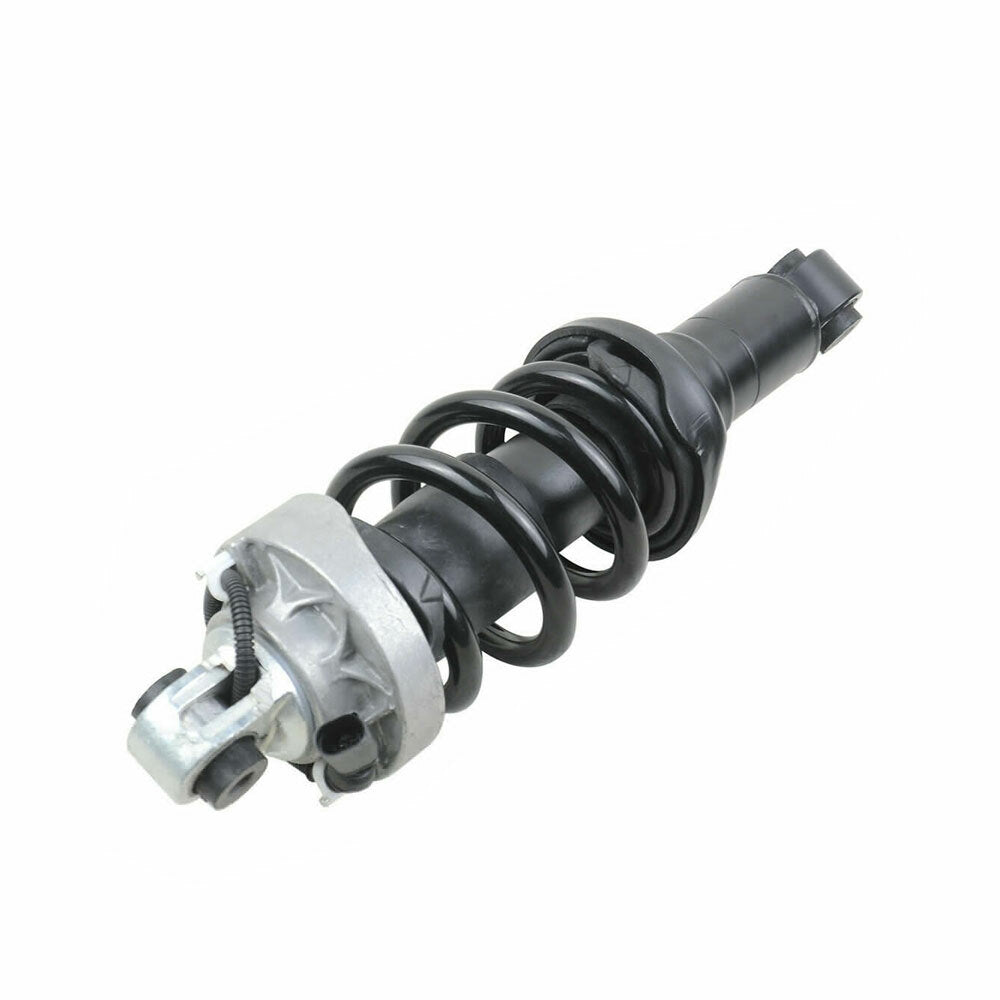 Front Left Suspension Shock Strut for Audi R8 V8 V10 2007-2015 420412019AK