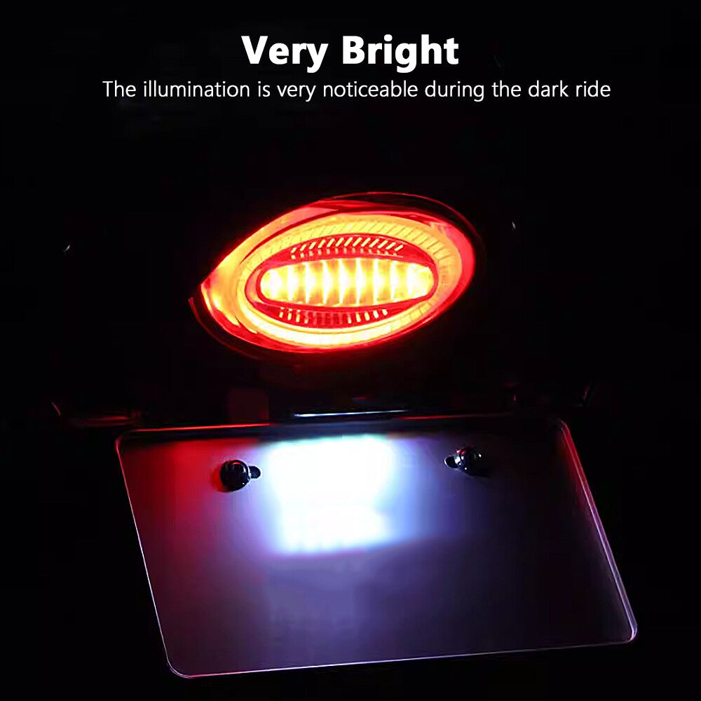 LED Taillight Rear Brake Light Indicator Lamp for KAWASAKI Z900RS 2018 20-23