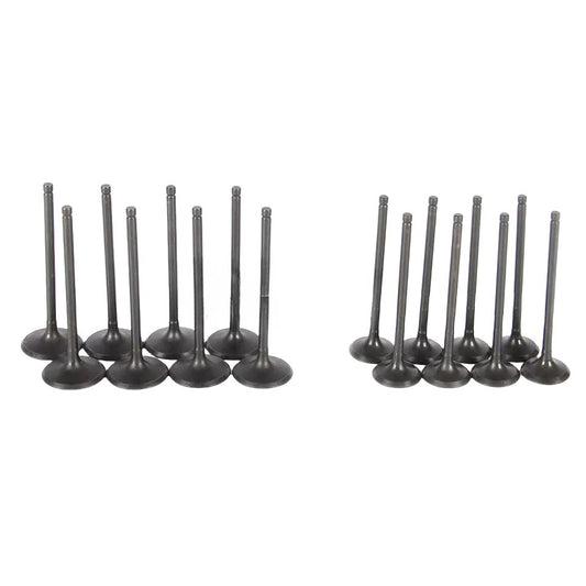 Intake Exhaust Valves Kit for Ford Focus EcoSport 2012-2018