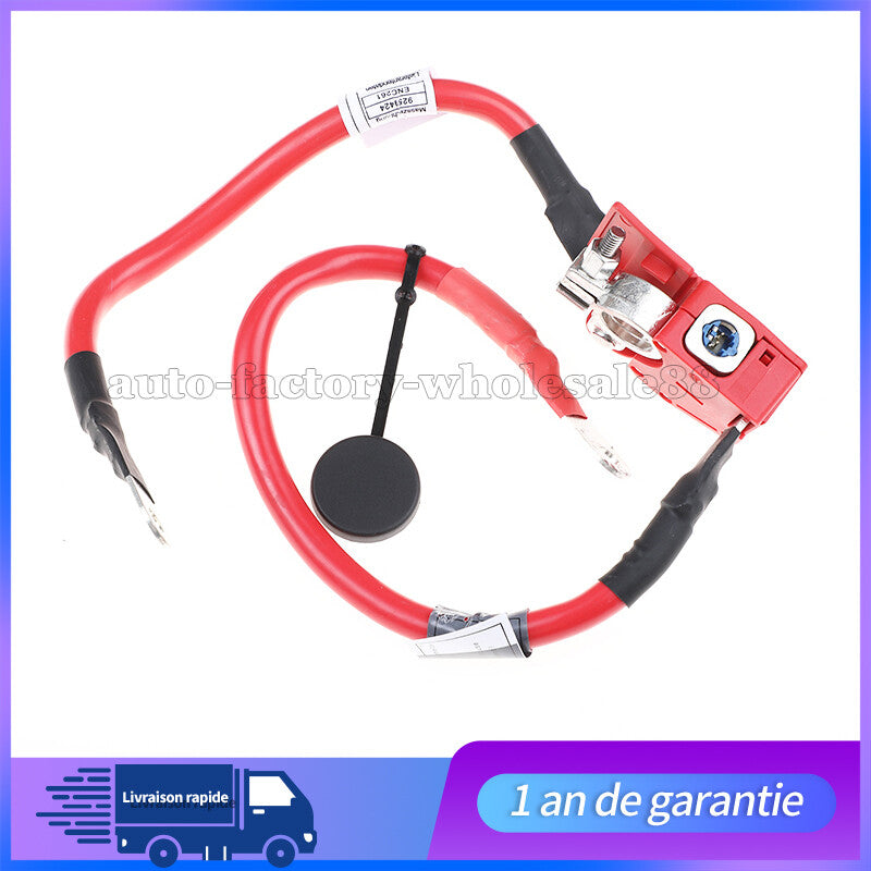 Câble Batterie Stable Plus Pôle Pour F30 F36 F32 61126834543 9214506 Neuf n