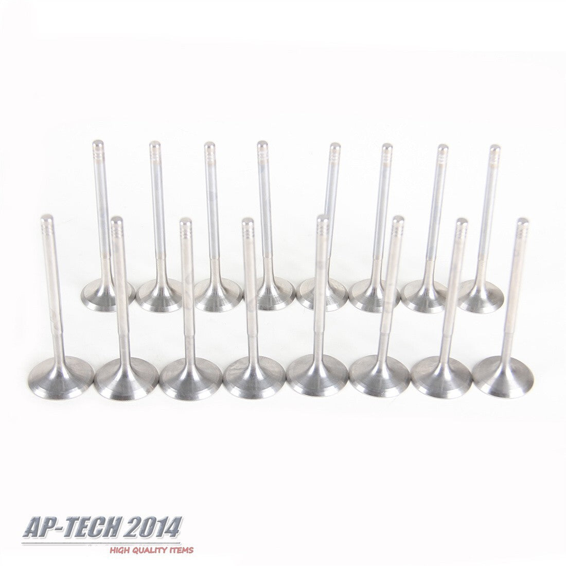16Pcs 1.6L 2.0L Intake Exhaust Valves Kit Fit for BMW 118i 320i X1 X3 Z4 N46