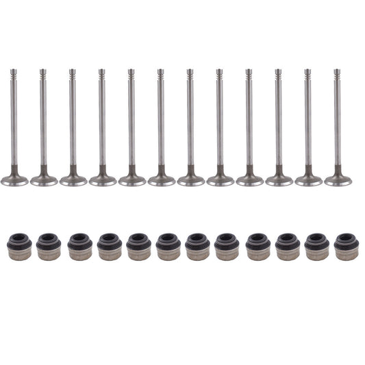 12PCS inlet Valve for VW for AUDI A4 A4 Q A6 A6 Q for GOLF for JETTA for PASSAT 058109601C