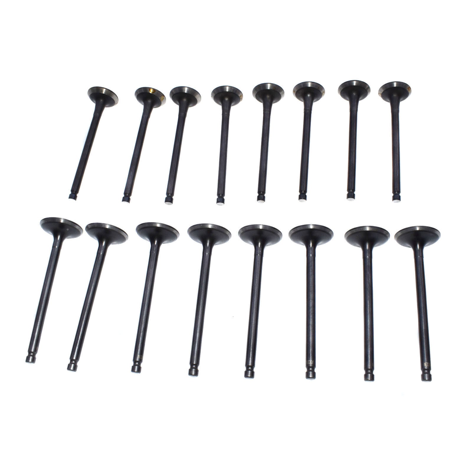 16 PCS Fit for Hyundai Accent for Kia Rio Rio5 1.6L Intake  Exhaust Valve Kit New