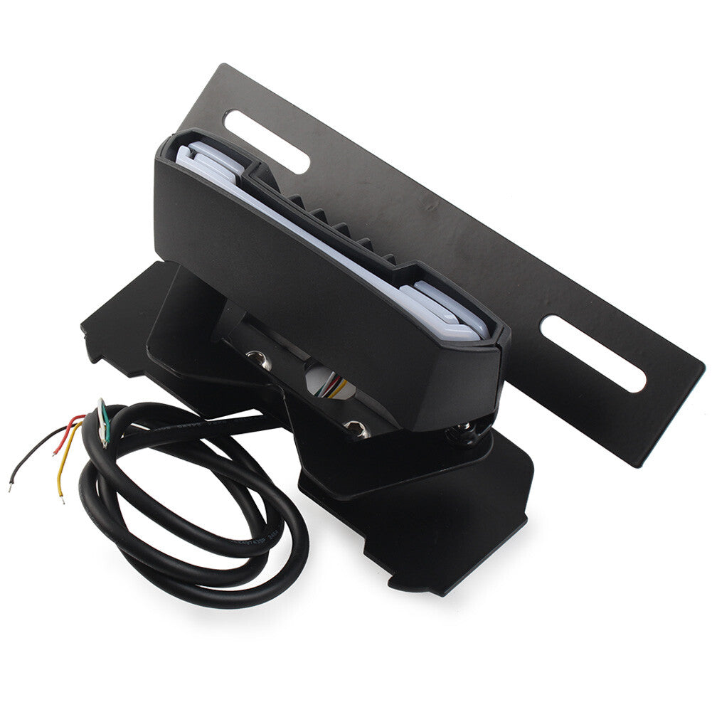 LED Tail Light Turn signal Blinker Lamp License Plate Holder for HONDA CRF450L Q