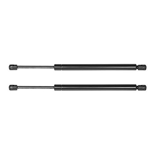 Rear Hatch Lift Supports Struts Shocks 2PCS for Dodge Magnum 2005-2010 6103 Q