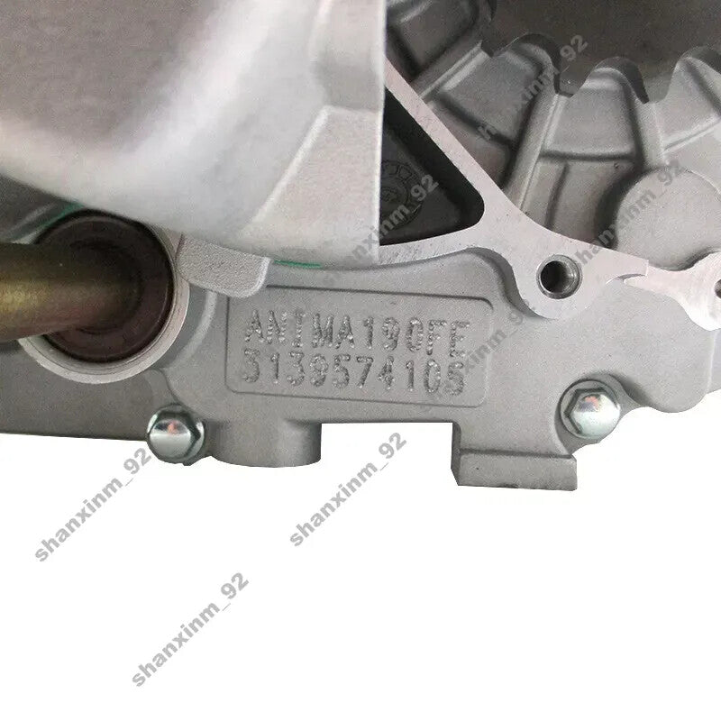 190cc Daytona 4-Valve Electric Start Anima 190FE Engine For Dirt Pit Bike ATV