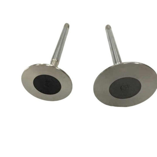 Parts NO# 92089889 Air Intake Valve (Pack of 4) 1pack Q
