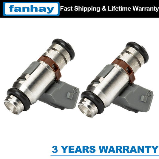 Set of 2 Fuel Injectors IWP043 for Ducati Monster 696 SS800 M620 Weber Marelli Q
