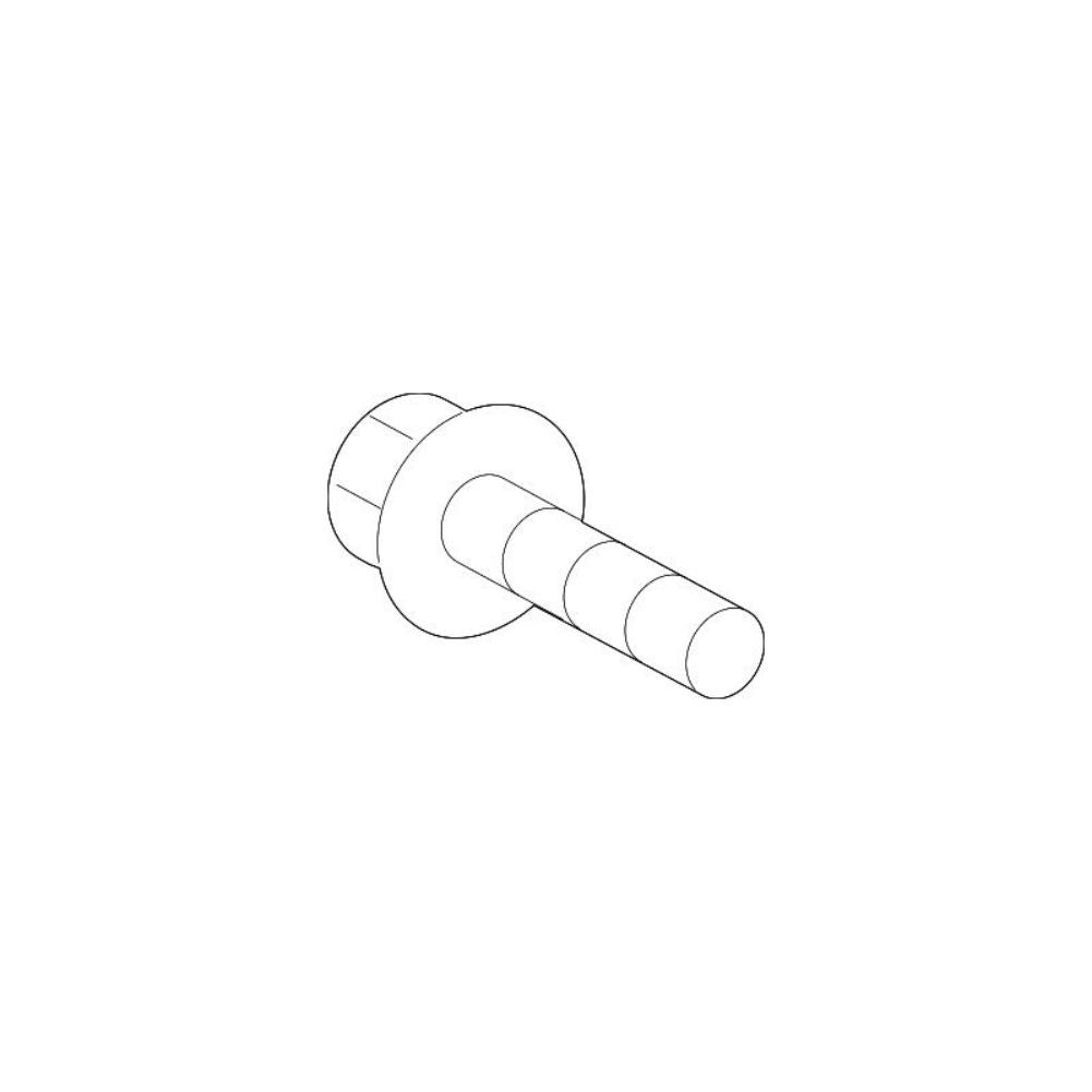 N91206801 Hinge Bolt for VW - All Models Q