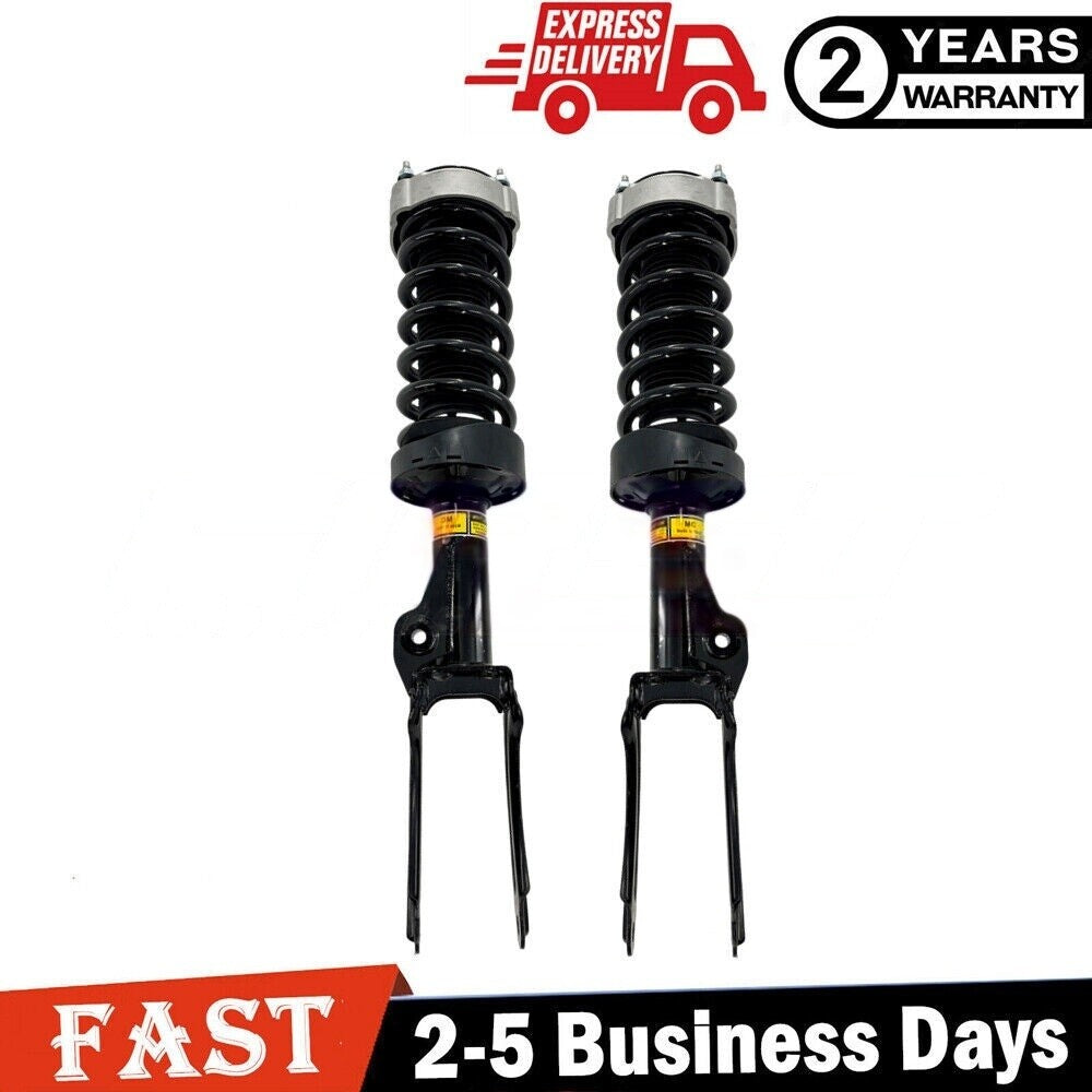 Two high-profile front shock absorber cores with EDC 301449 for Ferrari F12 Berlinetta 13-17