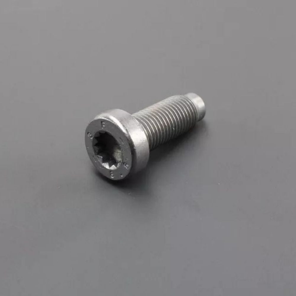 N98926102 Cylinder Bolt for VW for Audi for Seat