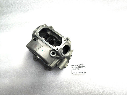 New Cylinder Head For Hisun Strike 250cc HS 250 UTV Massimo P0130001220A0000