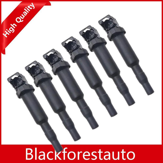 6x Ignition Coil Set Fits For M5 M6 X3 for X5 X6 Z4 128I 135I 323I 325CI 325I 325XI Q