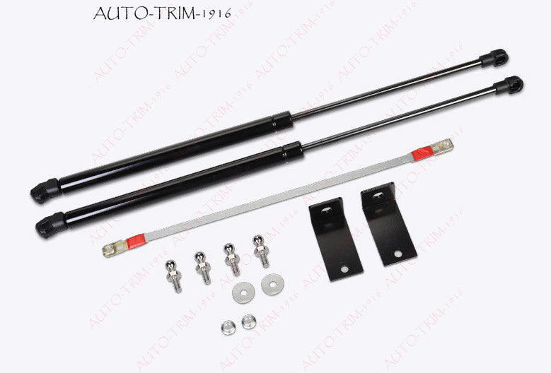 Steel Front Engine Hood Lift Support Shock Struts For 2021-2023 Explorer n