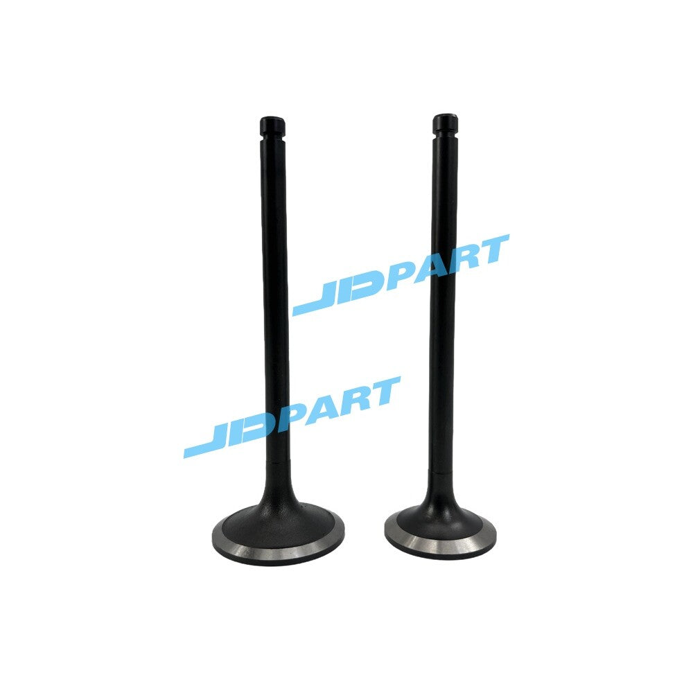 2-piece EA300 intake and exhaust valve parts for diesel engines.
