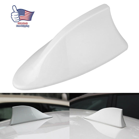 White Rooster Five Yuan Middle-Aged American Q