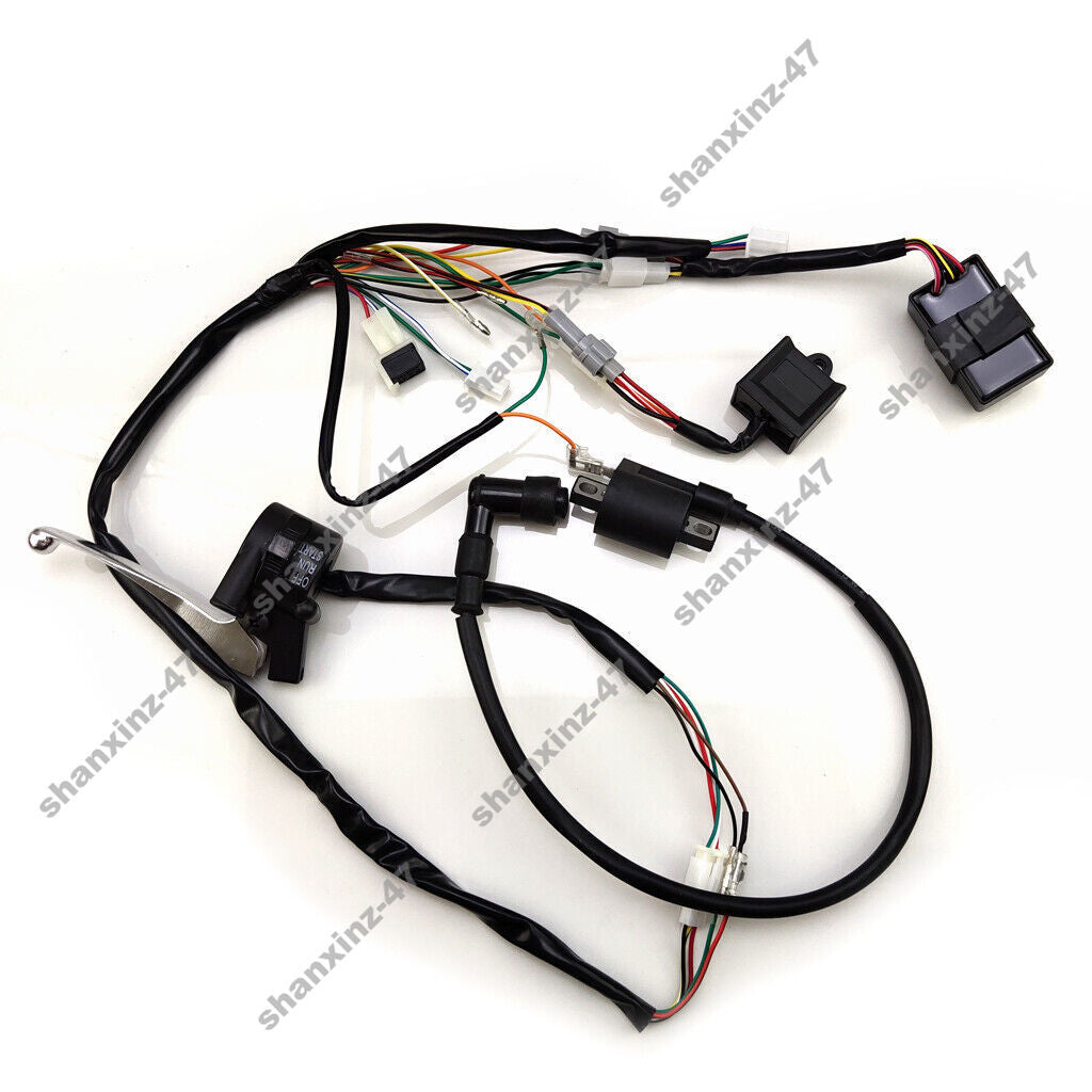 Wire harness loom luminous CDI control unit coil switch suitable for YAMAHA PW50 PY50 Q