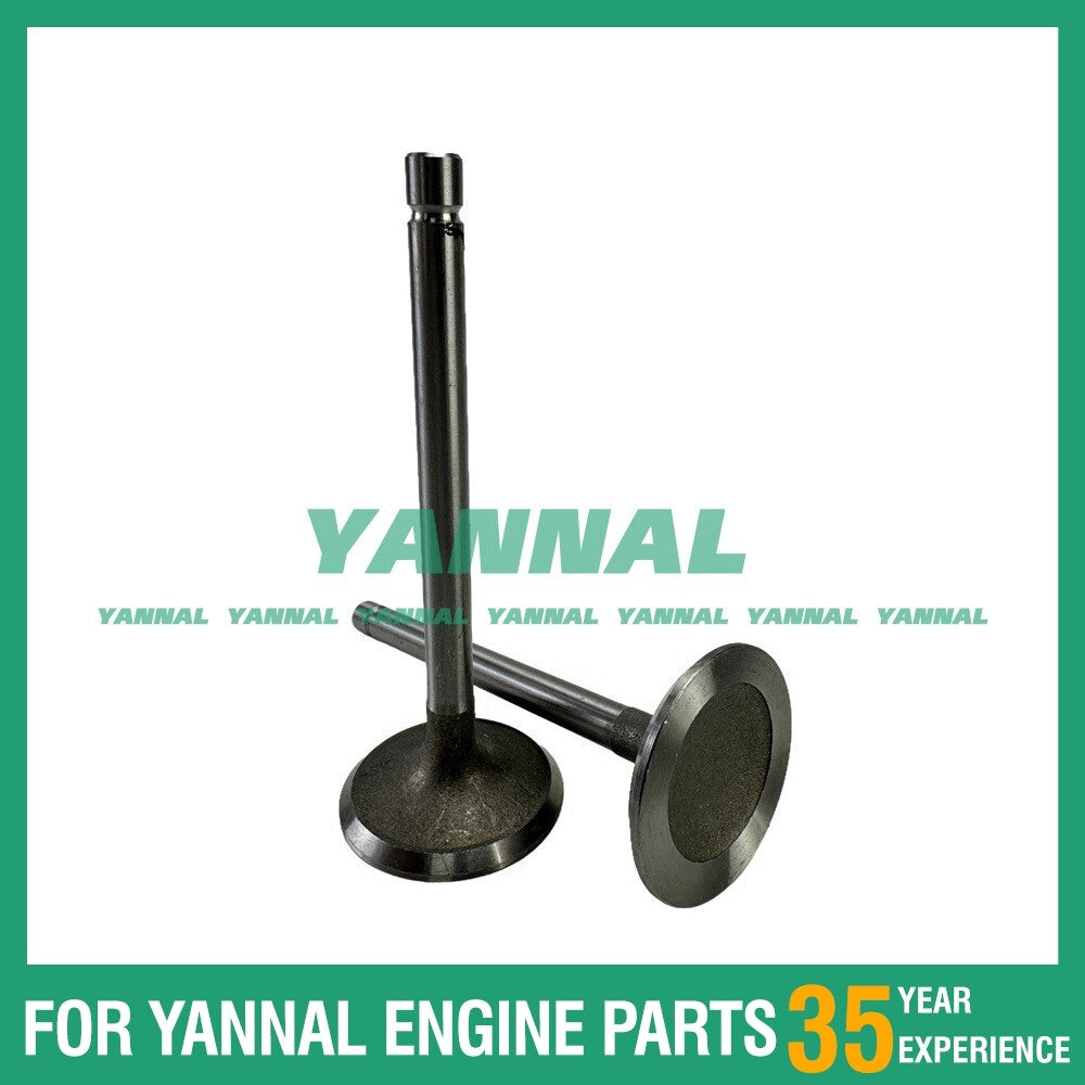 4Y Exhaust + Intake Valve -