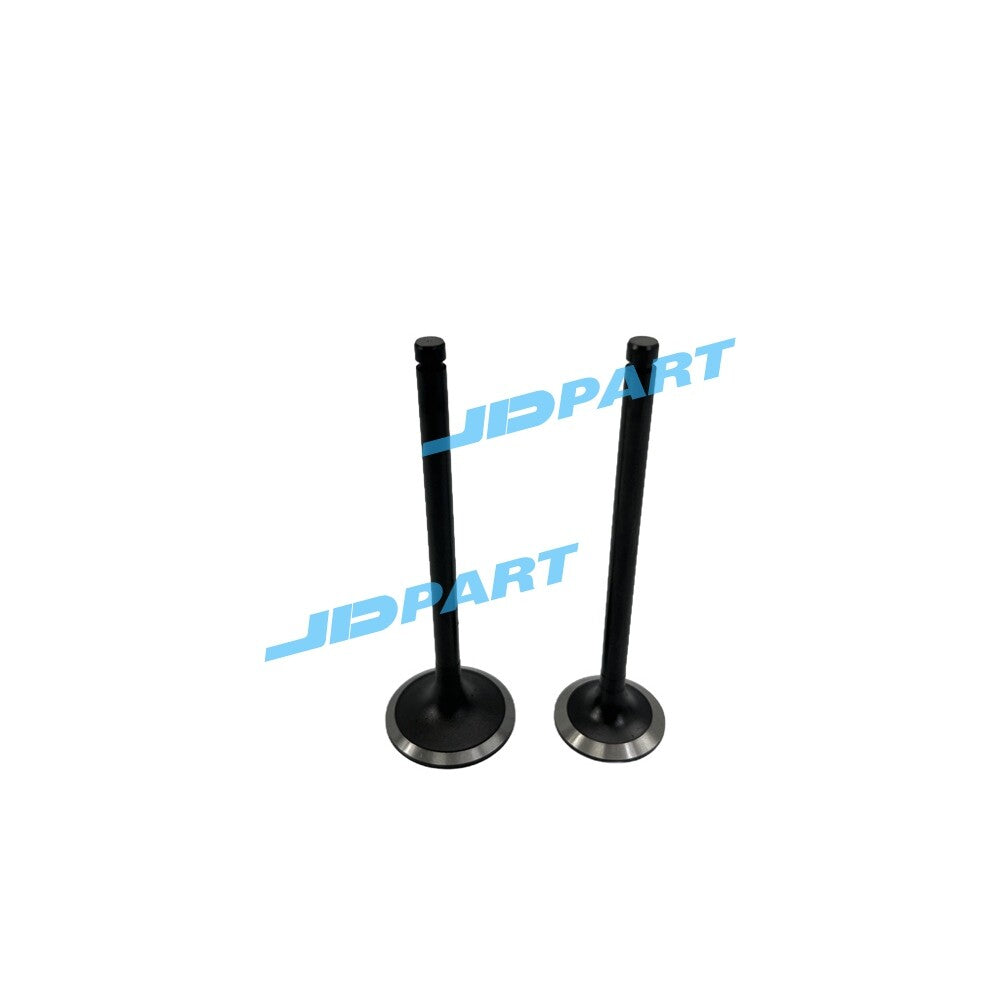 2-piece EA300 intake and exhaust valve parts for diesel engines.
