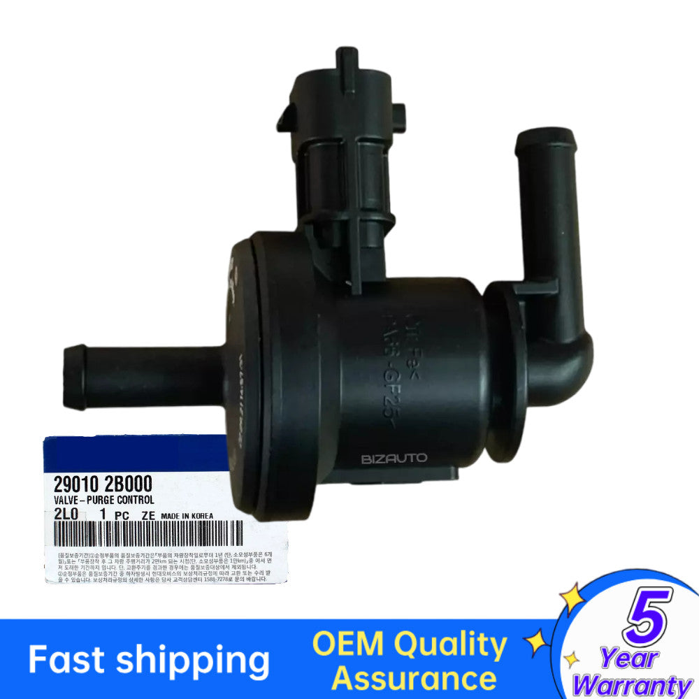 equipment manufacturer ( ) steam tank purification control valve for HYUNDAI Accent for Kia Rio 290102B000