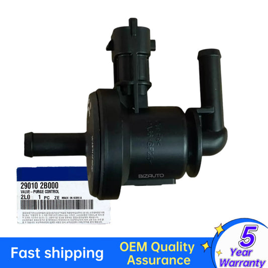 equipment manufacturer ( ) steam tank purification control valve for HYUNDAI Accent for Kia Rio 290102B000