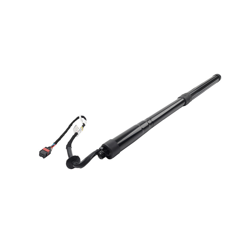 Trunk Tailgate Lift Support for Land Rover for Range Rover Sport 2005-2013