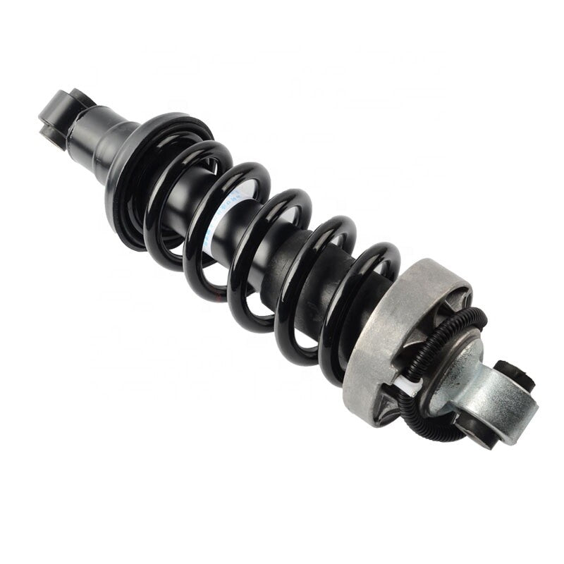 Rear Left Shock Absorber With Electric control Fit for Audi R8 2007-2015 420512019N