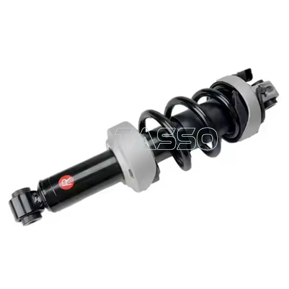 Pair Front Air Suspension Shock Absorber Fit for Audi R8 420412019AH 420412020AH n