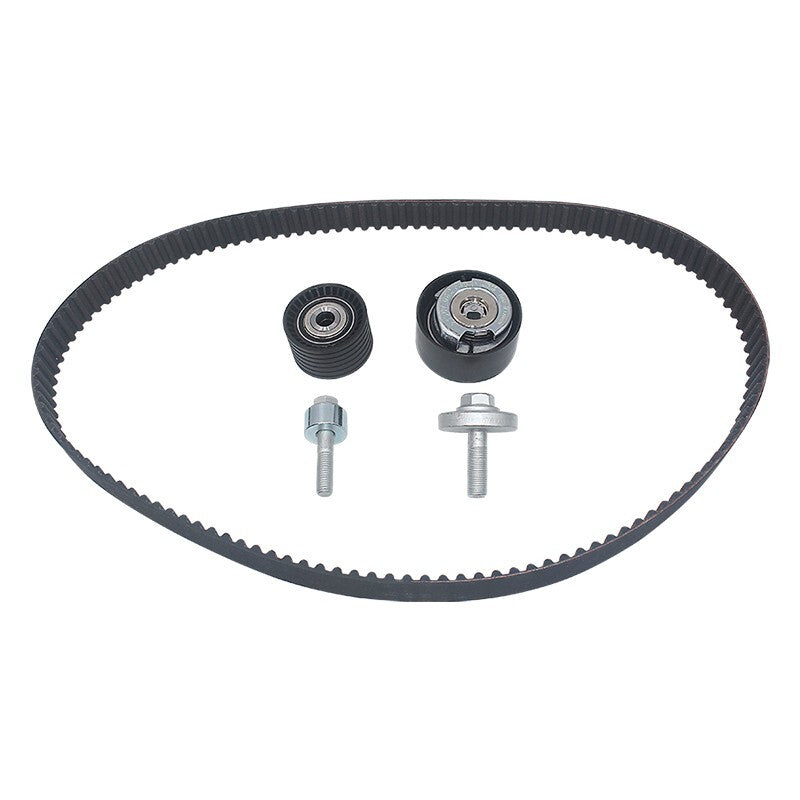 Timing Belt Kit 130C11551R for Renault Laguna Megane Vel Saties 1.82.0 16V