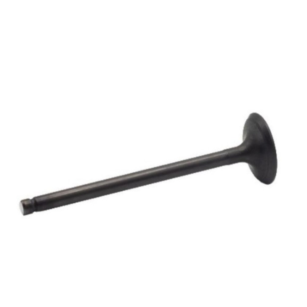Engine Intake Valve for Chevrolet Aveo 2004-2008