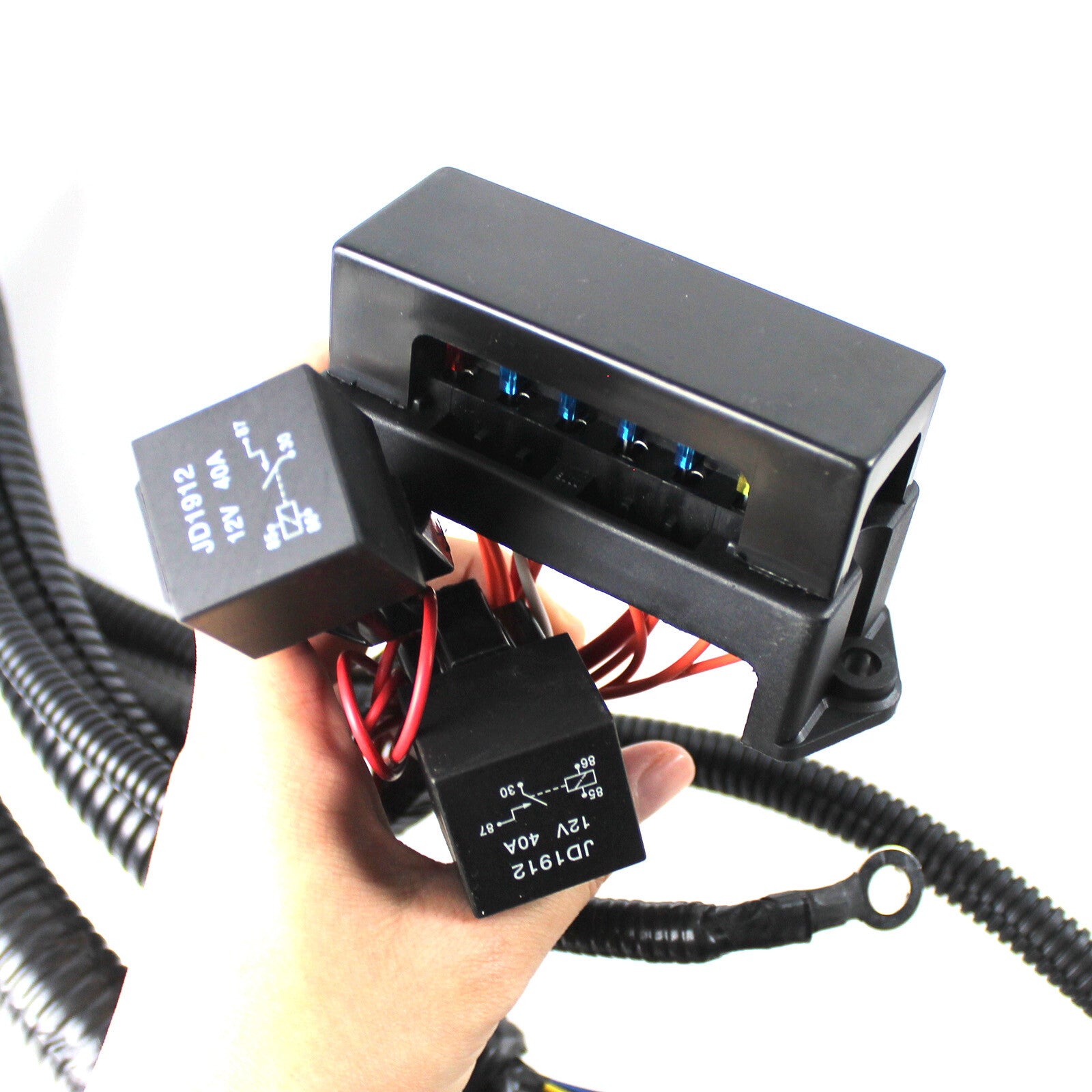 LS1 Engine STANDALONE WIRING HARNESS T56 Manual Tran 4.8/5.3/6.0L DBC EV1 97-06