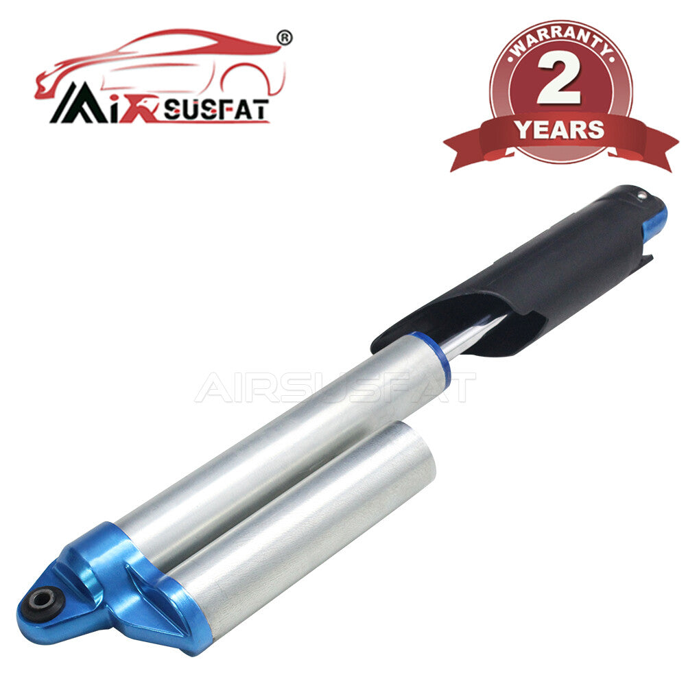 for Ford F150 XLT STX SVT 2010-2014 Rear Left / Right Shock Strut BL3Z18125L