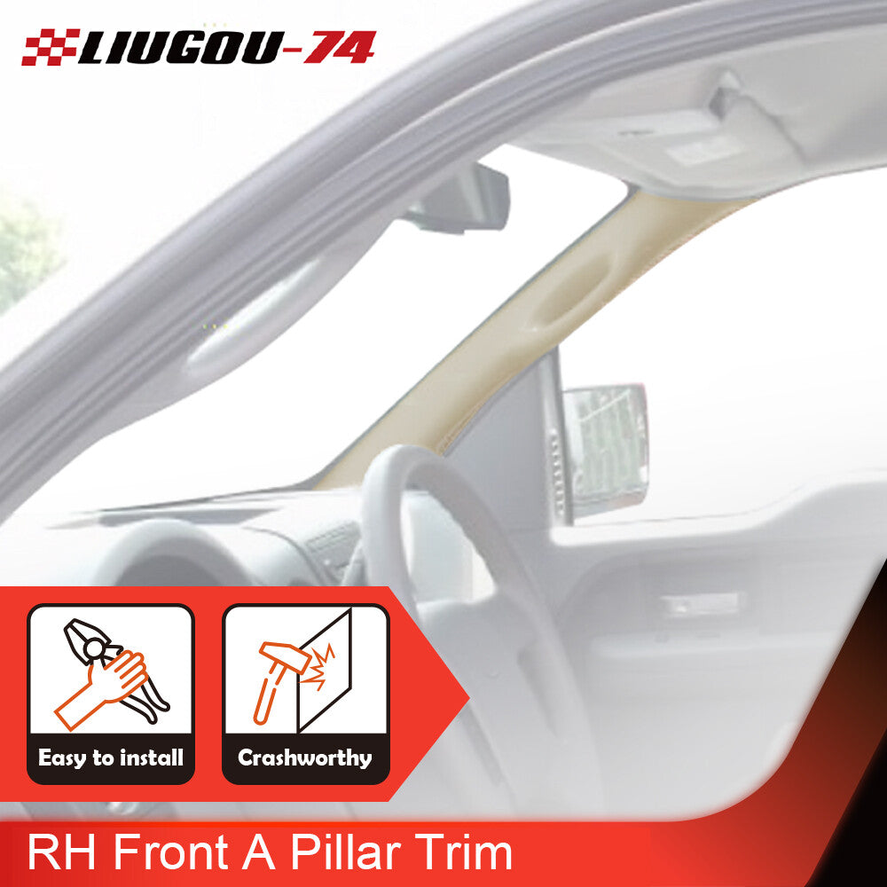 Right Passenger Side Front A-Pillar Trim Panel Handle fit for 04-08 F150- v