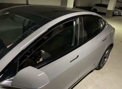 For Model 3 2019-2024 Glossy Black Side Window Molding Cover Trim 10PCS n