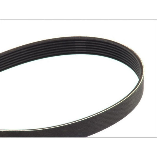 Serpentine Belt for BMW X5 540i 740i 740iL 840Ci M5 M8 x5M x6M Q