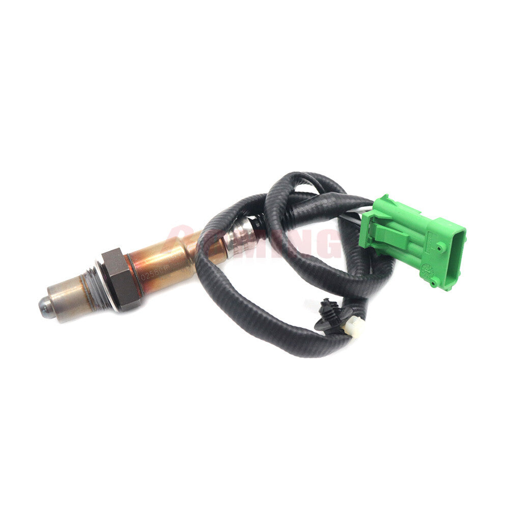 Crankshaft position sensor suitable for Ford Explorer V6 3.5L 2013-2018 BL3Z-6C315-A