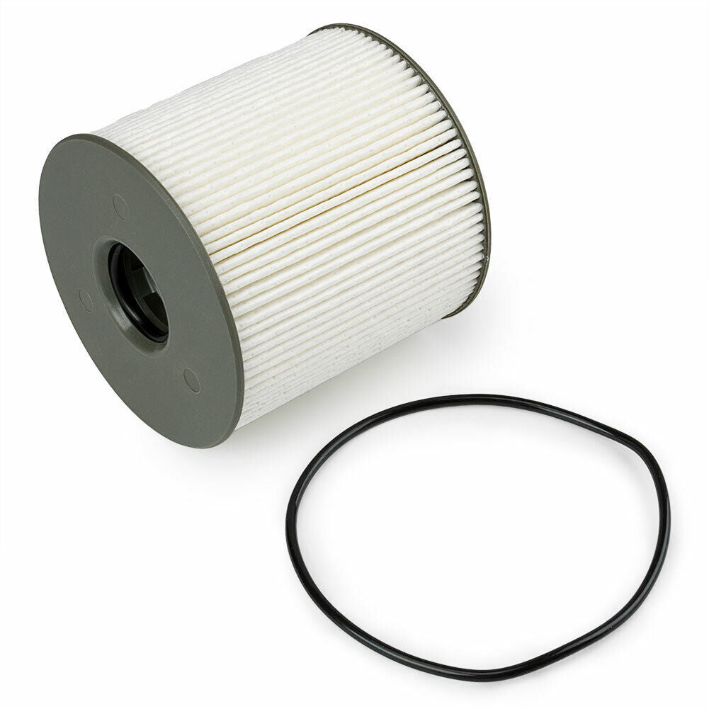 1Pcs Diesel Fuel Filter 68436631AA for 2019-2021 for Ram 2500 3500 4500 Q