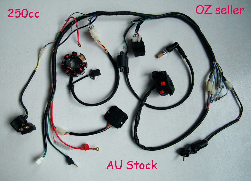 Electrics Wiring Harness Loom Coil CDI Zongshen 150 200cc 250cc Quad Buggy ATV