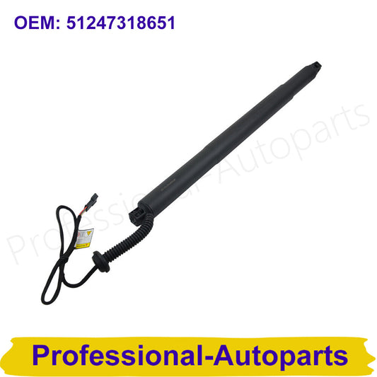51247318651 Rear Left Tailgate Lift Support for BMW X6 F16 F86 xDrive35i xDrive Q